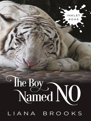 cover image of The Boy Named No
